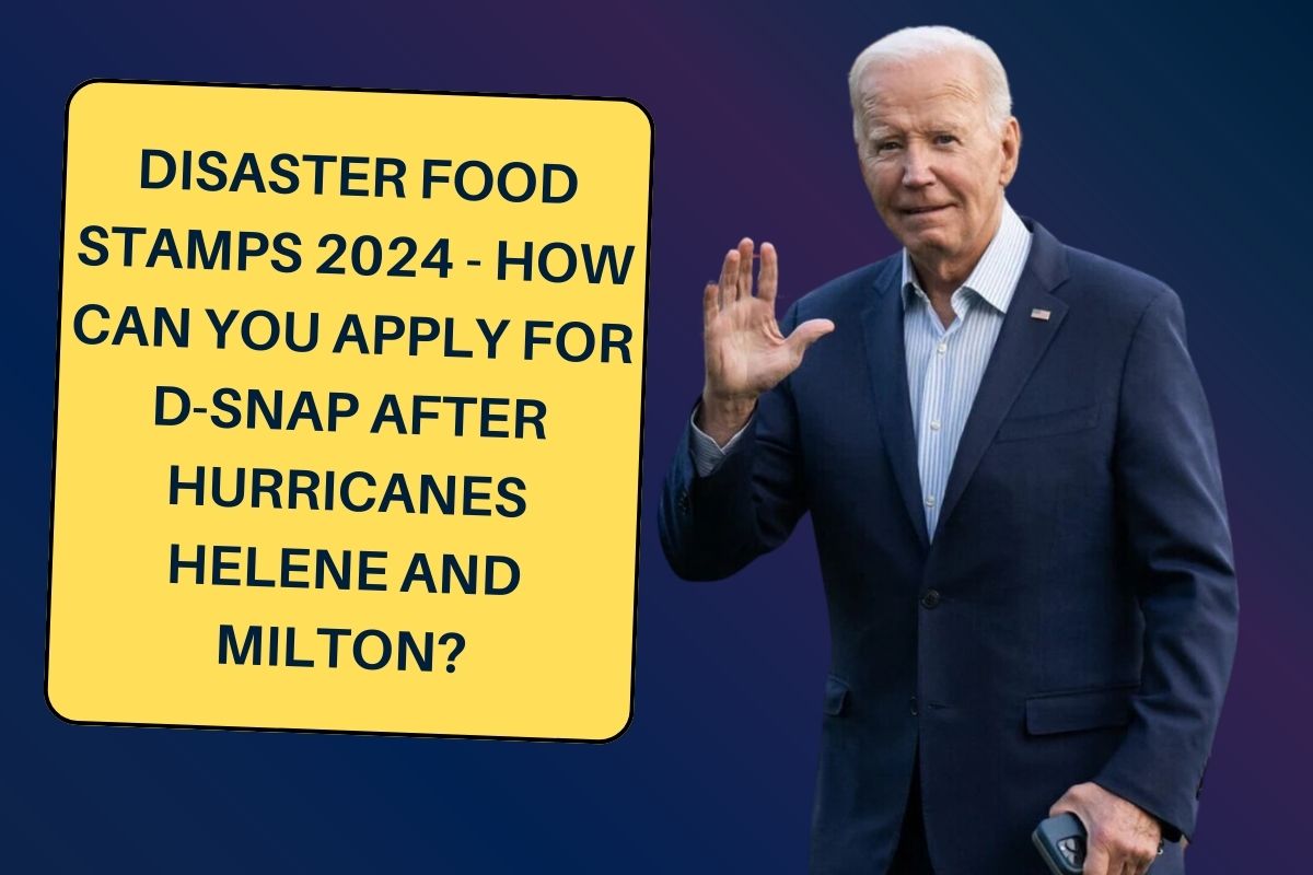 Disaster Food Stamps 2024 - How Can You Apply for D-SNAP after Hurricanes Helene and Milton?